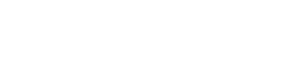 Financiat per la Unió Europea